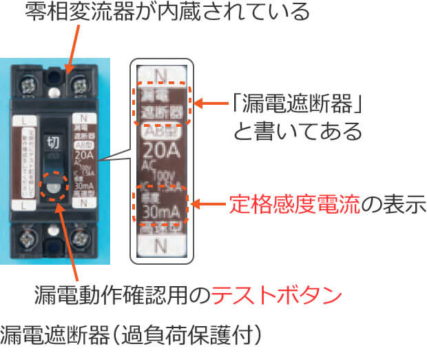 �R�d�Ւf��i�ߕ��וی�t�j