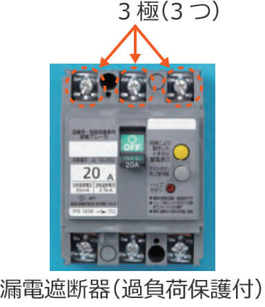 �R�d�Ւf��i�ߕ��וی�t�j