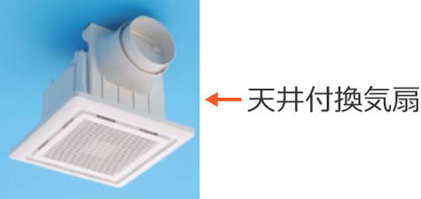 �V��t���C��