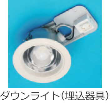 �_�E�����C�g�i�������j