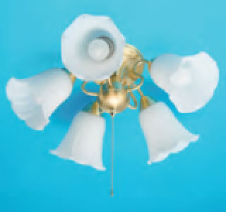 ���8�̊��