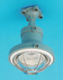 ���9�̊��