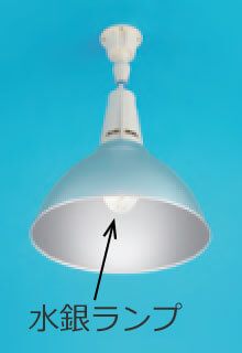 ���10�̊��