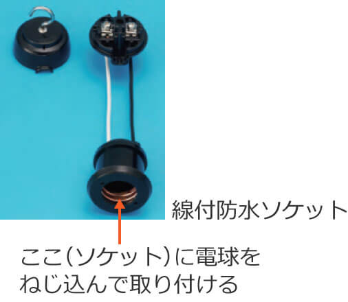 ���t�h���\�P�b�g