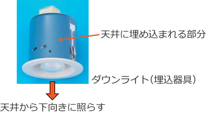 �_�E�����C�g�i�������j