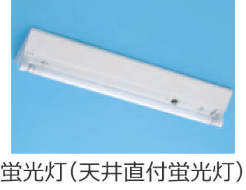 �u�����i�V�䒼�t�u�����j