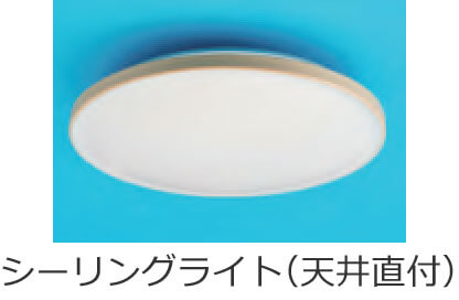 �V�[�����O���C�g�i�V�䒼�t�j