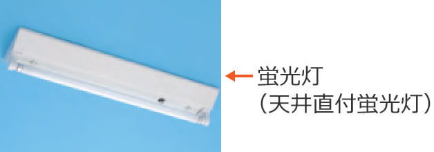 �u�����i�V�䒼�t�u�����j