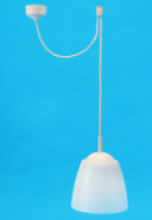 ���25�̊��①