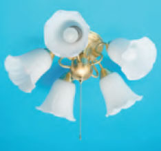 ���26�̊��③