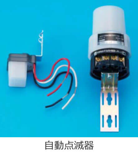 �����_�Ŋ�