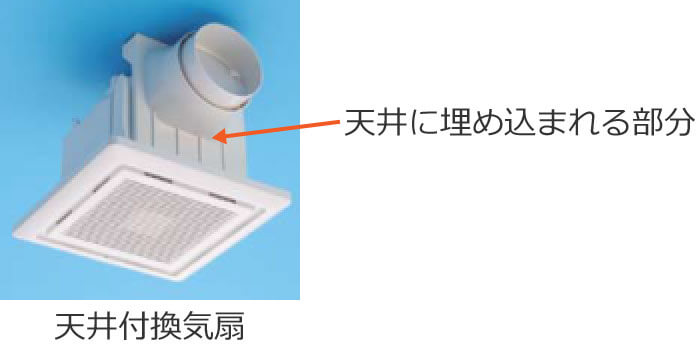 �V��t���C��