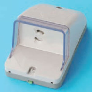 ���17�̊��