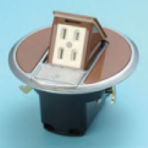 ���19�̊��