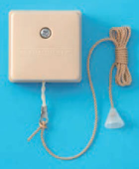 ���13�̊��