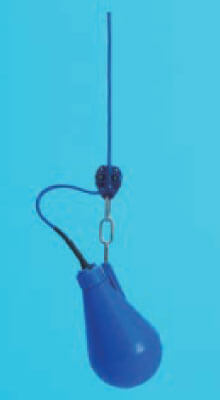 ���16�̊��