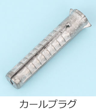 �J�[���v���O