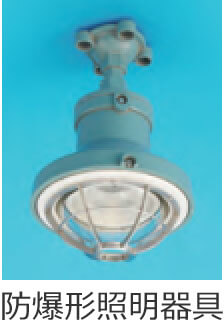 �h���`�Ɩ����