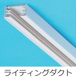 ���C�e�B���O�_�N�g