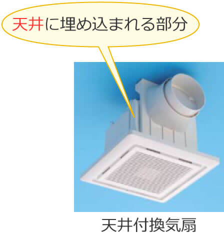 �V��t���C��