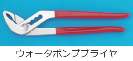 �E�H�[�^�|���v�v���C��