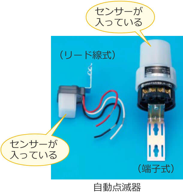 �����_�Ŋ�