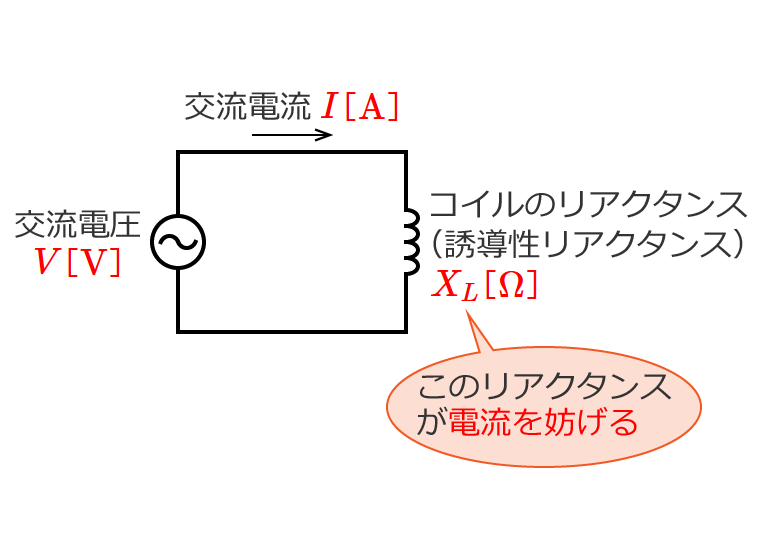 �R�C���̃��A�N�^���X