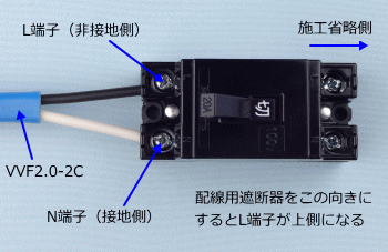 �z���p�Ւf��̌����ƒ[�q