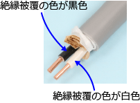 �d���̐≏�핢�̐F�i���F�Ɣ��F�j