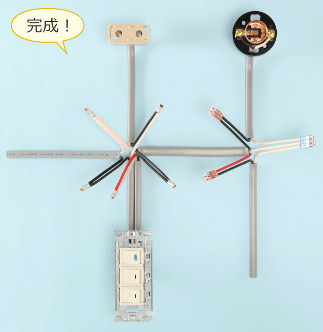 ������i�̗�