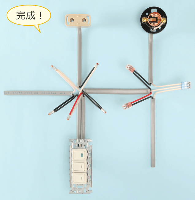 ������i�̗�