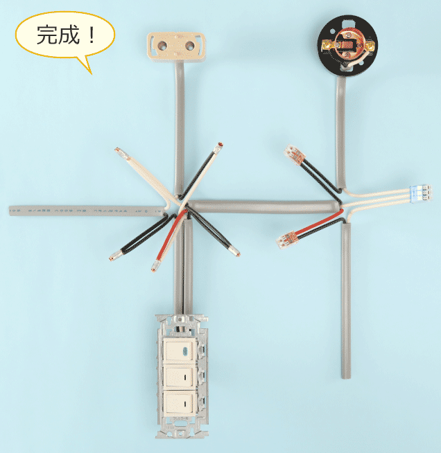 ������i�̗�