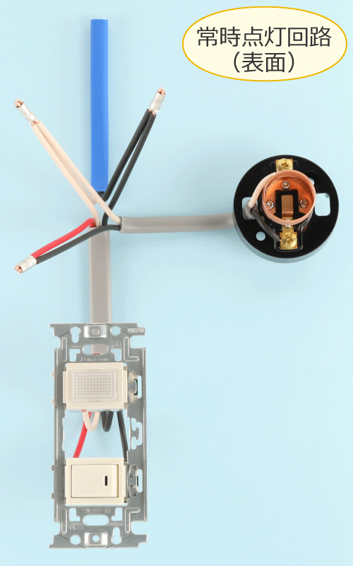 ����Ă݂��펞�_����H�̎ʐ^�i�\�ʁj