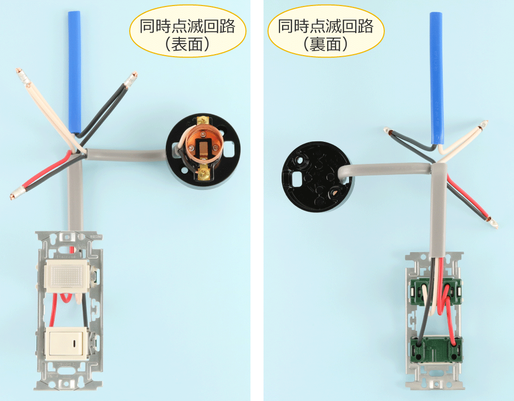 ����Ă݂������_�ŉ�H�̎ʐ^�i�\�ʂƗ��ʁj