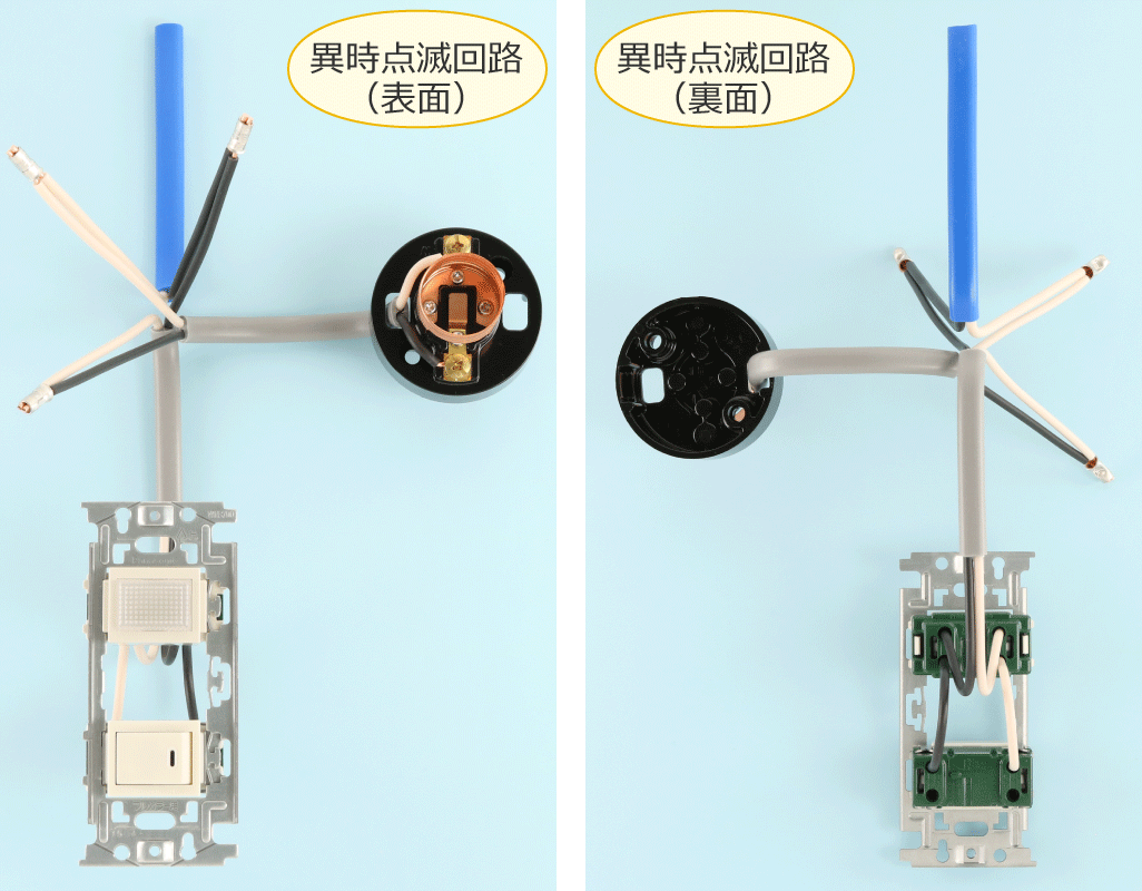 ����Ă݂��َ��_�ŉ�H�̎ʐ^�i�\�ʂƗ��ʁj