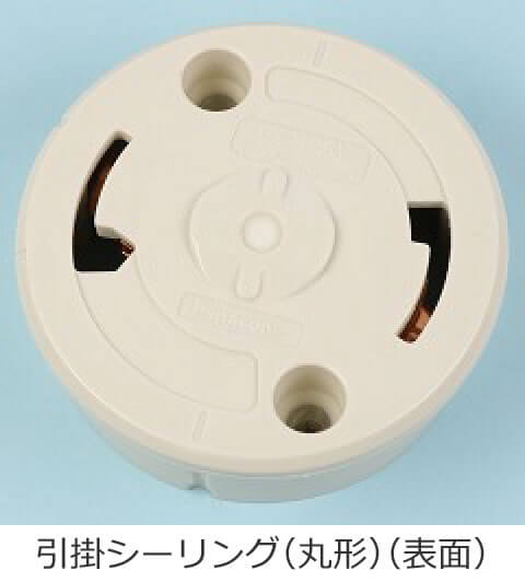 ���|�V�[�����O�i�ی`�j�̕\�ʂ̎ʐ^