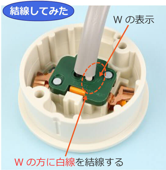 ���|�V�[�����O�i�ی`�j�ɓd�����������Ă݂�