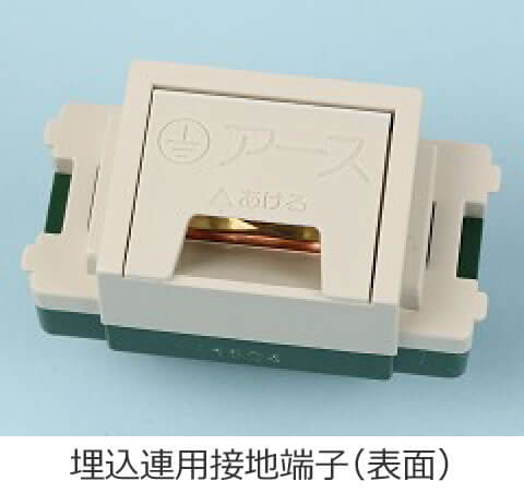 �����A�p�ڒn�[�q�̕\�ʂ̎ʐ^