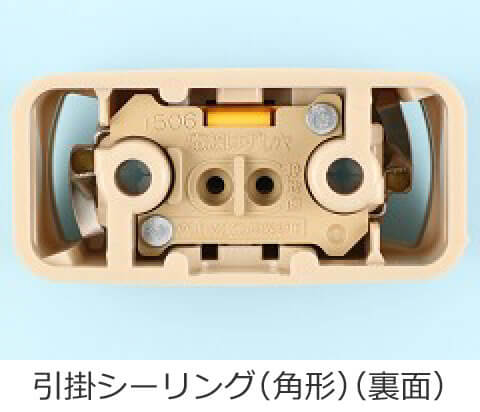 ���|�V�[�����O�i�p�`�j�̗��ʂ̎ʐ^