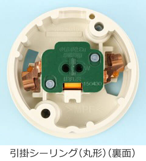 ���|�V�[�����O�i�ی`�j�̗��ʂ̎ʐ^