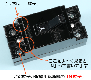 �z���p�Ւf���N�[�q