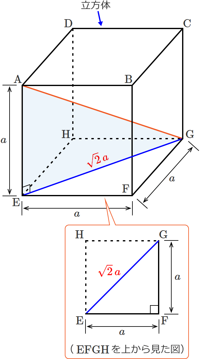 ��EG�̒���