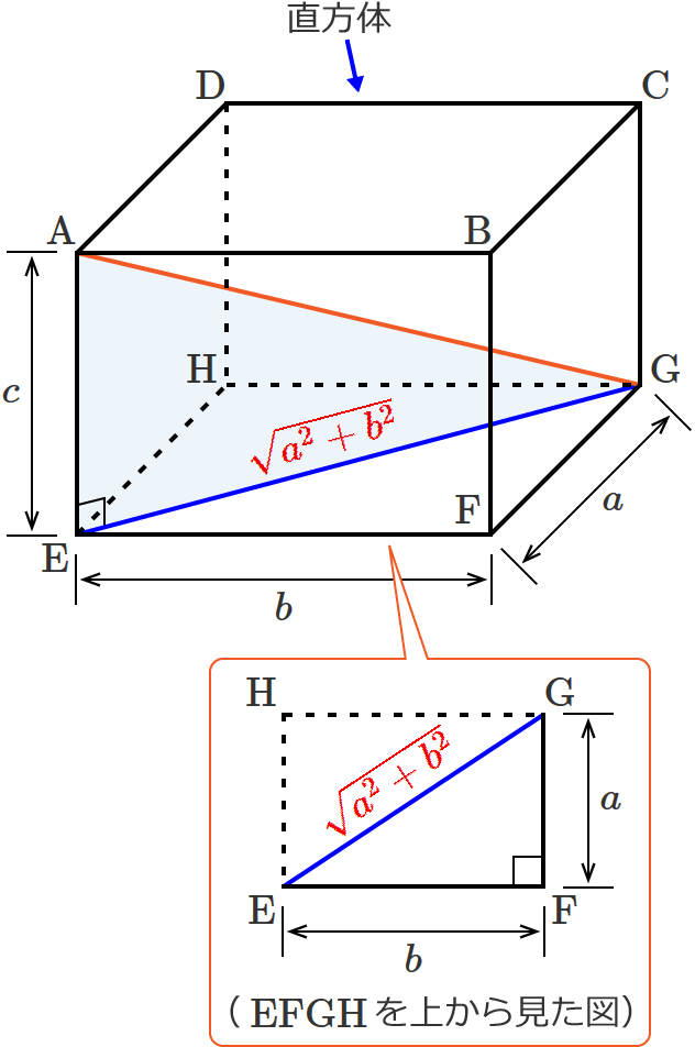 ��EG�̒���