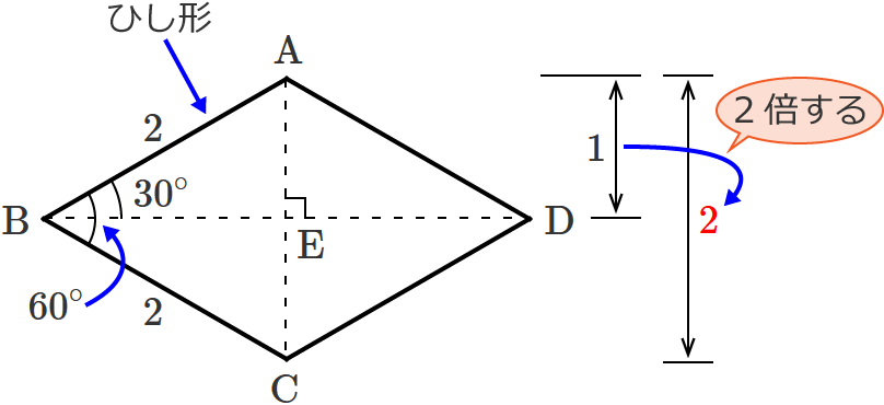 AE�̒�����2�{����ƑΊp��AC�̒���