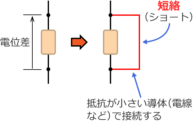 �Z���i�V���[�g�j