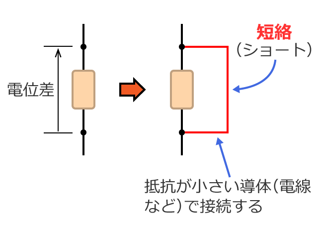 �Z���i�V���[�g�j