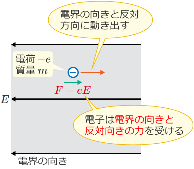 �d�q�͓d�E�̌����Ɣ��Ό����ɗ͂��󂯂�