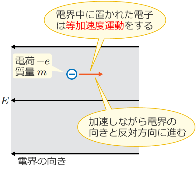 �d�q�͓������x�^��������