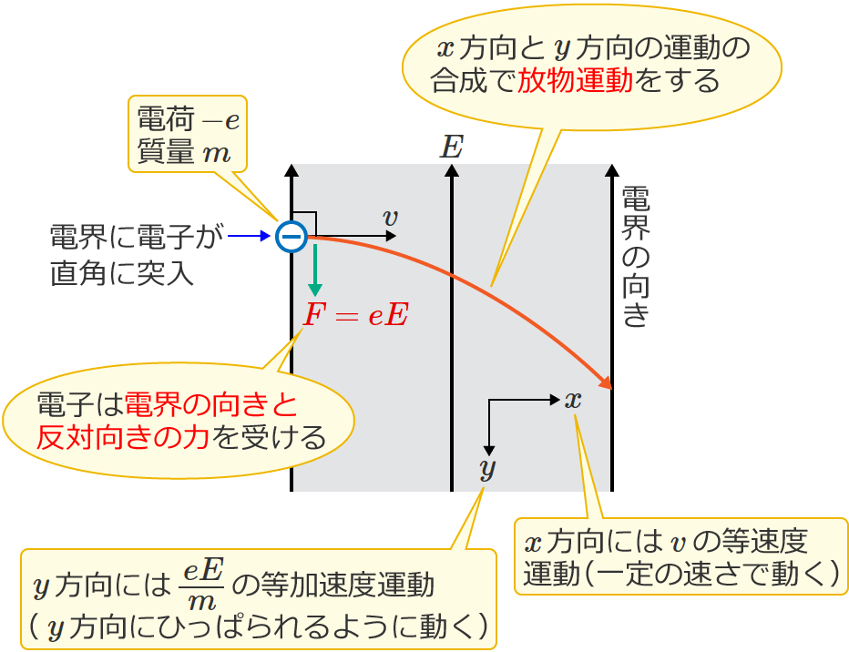 �d�q�͕����^��������