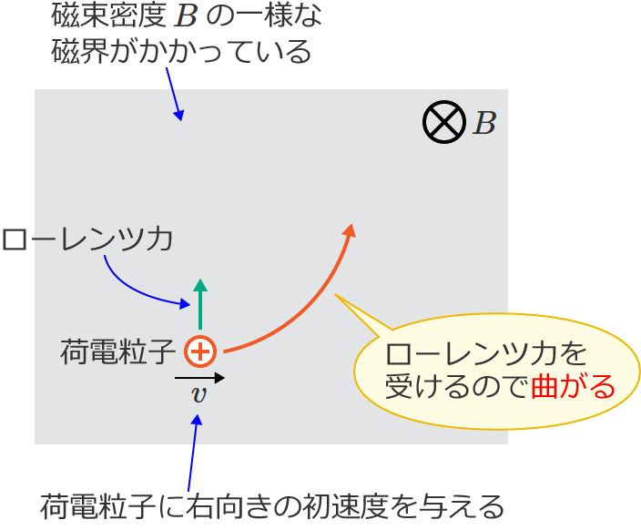 ���[�����c��